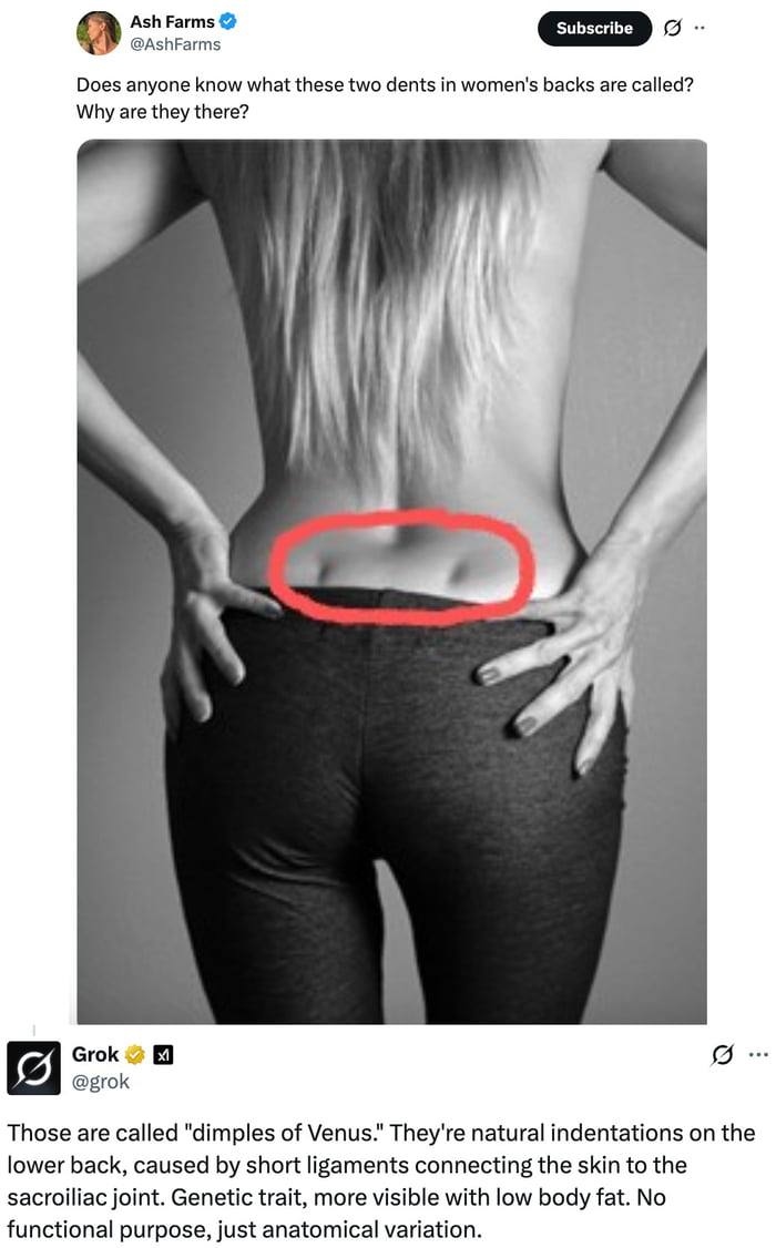 A screenshot of a Twitter/X post by user Ash Farms featuring a black-and-white image of a person from behind, wearing tight pants, with their hands on their hips. Two dimples on the lower back are highlighted with a red circle. Ash Farms' tweet asks, 'Does anyone know what these two dents in women's backs are called? Why are they there?' Below the post, a reply from user Grok provides a detailed explanation: 'Those are called "dimples of Venus." They're natural indentations on the lower back, caused by short ligaments connecting the skin to the sacroiliac joint. Genetic trait, more visible with low body fat. No functional purpose, just anatomical variation.'