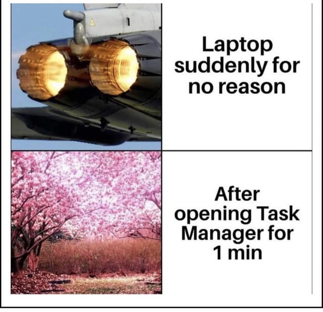 This is a two-panel relatable tech meme. The top panel displays the intensely firing afterburners of a jet engine, paired with the text "Laptop suddenly for no reason" — this visually exaggerates the chaotic, overactive state of a laptop when its CPU/GPU unexpectedly spikes, causing loud fan noise, overheating, and slow performance without an obvious trigger. The bottom panel shows a calm, serene cherry blossom landscape, paired with the text "After opening Task Manager for 1 min" — this humorously represents the immediate shift to a peaceful, smooth-running laptop after accessing the Task Manager, which often prompts background processes to calm down or allows users to close resource-heavy tasks. The joke relies on the extreme visual contrast between the high-energy jet engine and the tranquil nature scene to amplify the common, relatable user experience of quick tech fixes for random performance issues.