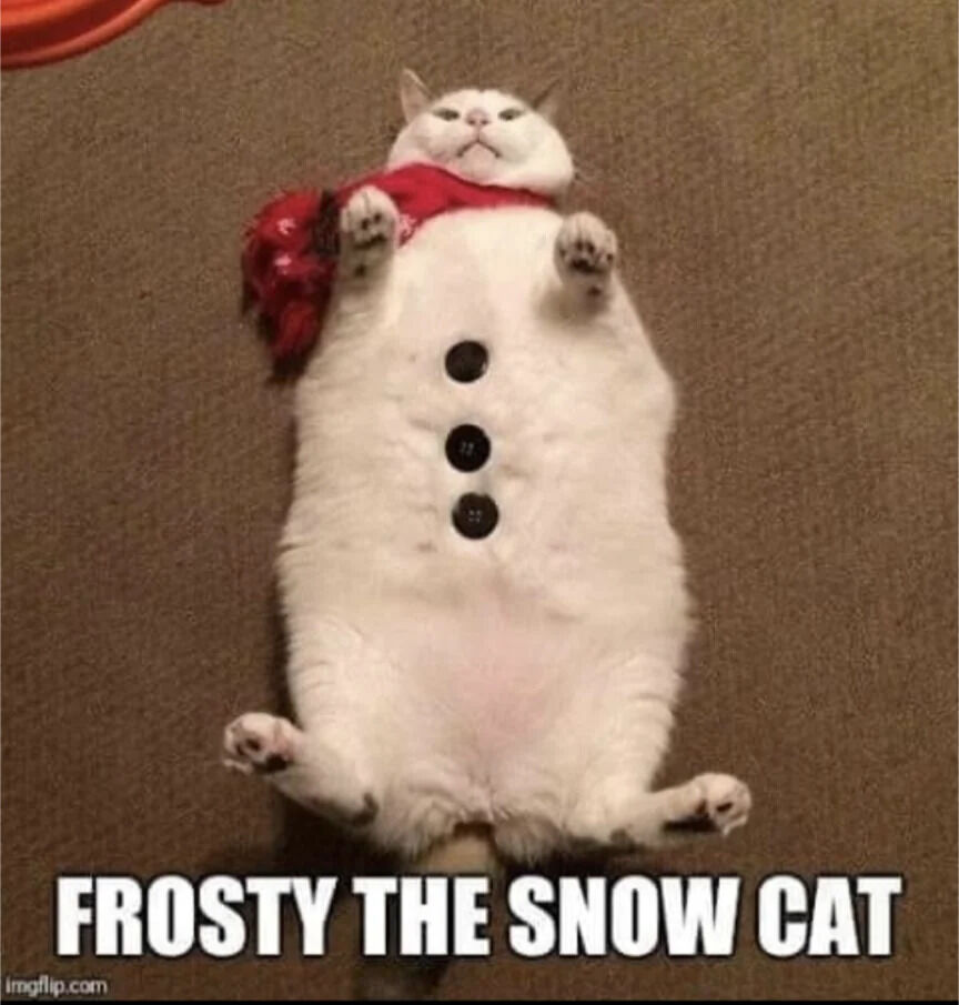 A humorous image of a white cat lying on its back on a brown carpet, dressed up to resemble a snowman. The cat wears a red scarf with a pom-pom and has three black buttons placed vertically on its belly, mimicking a snowman's buttons. The cat's paws are raised, enhancing the snowman-like appearance. At the bottom of the image, bold white text reads 'FROSTY THE SNOW CAT', a playful reference to the classic 'Frosty the Snowman' character. The image is watermarked with 'imgflip.com' in the bottom left corner.