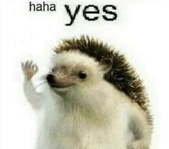 An image featuring a small hedgehog with white fur and a brown spiky back, positioned centrally. The hedgehog raises its front paw in a waving or gesturing motion, displaying a slightly amused or content expression. Above the hedgehog, in casual lowercase black text, are the words 'haha yes'. The plain white background emphasizes the hedgehog and text as the focal points.