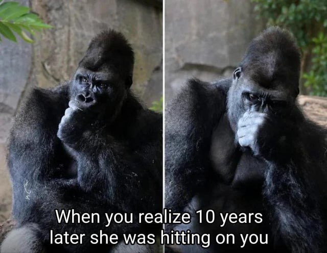 This is a two-panel reaction meme featuring a silverback gorilla in both panels. The left panel shows the gorilla resting his chin on his hand with a thoughtful, pensive expression. The right panel shows the same gorilla covering his mouth with his hand, looking frustrated and full of regret. Overlaid text at the bottom of the image reads 'When you realize 10 years later she was hitting on you'. The meme humorously conveys the common relatable experience of having a delayed realization that someone was romantically interested in you long after the chance to act on it has passed, leading to embarrassed regret.