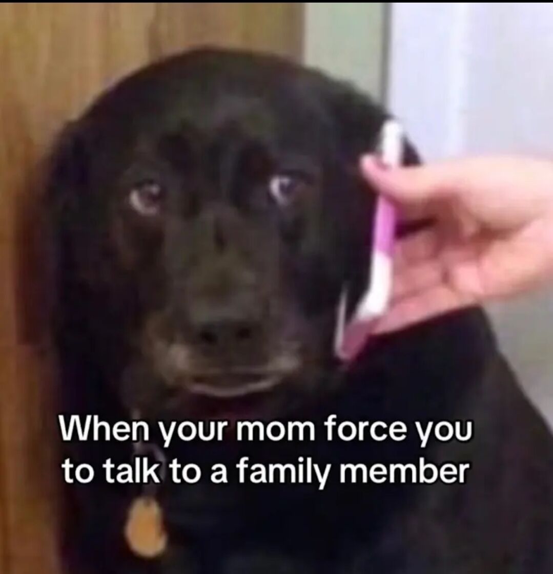 This relatable animal meme shows a large black dog with a sad, awkward and nervous expression, as a human hand holds a pink-and-white smartphone up to the dog's ear. The overlaid text describes the common uncomfortable experience of being forced by your mother to talk to a family member on the phone, and the dog's unhappy expression perfectly captures the awkward feeling people have in this situation.