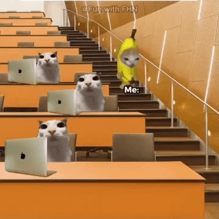 This relatable meme depicts a quiet university lecture hall setting: three ordinary white internet meme cats sit at their desks with Apple laptops, all staring at the walking figure. The figure labeled 'Me:' is a cat edited into a yellow banana costume walking up the aisle stairs, drawing everyone's attention. The joke refers to the common awkward and embarrassing experience where a laptop's cooling fans suddenly spin up to an extremely loud volume, comparable to a jet aircraft engine (hence the joke name 'aircraft mode'), in a silent public space like a classroom.