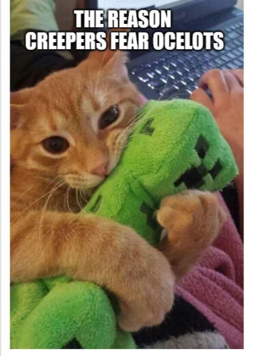 A photograph featuring an orange tabby cat cuddling a green Minecraft Creeper plush toy. At the top of the image, bold white text reads 'THE REASON CREEPERS FEAR OCELOTS,' humorously referencing the Minecraft game mechanic where Ocelots (passive feline mobs) scare away Creepers (hostile explosive mobs). The cat's affectionate embrace of the Creeper plush visually reinforces the joke by portraying a typically feared Creeper being comforted by a feline, subverting the in-game fear dynamic.