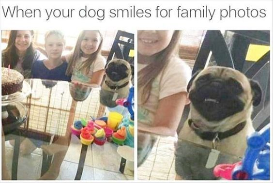 This is a two-panel meme that uses a forced perspective optical illusion for humor. The top text reads *"When your dog smiles for family photos"*. The left panel shows a family (three smiling humans: two girls, one boy) sitting at a glass dining table with a small cake, while a pug dog sits below the table; the glass table's reflection makes it appear as if the dog is seated at the table with a neutral expression. The right panel is a close-up that reveals the trick: the dog's head is positioned under the table, and the alignment of its open mouth with the table's reflection creates the false appearance of a smiling dog participating in the family photo. The joke is the playful deception of the dog "joining" the photo happily, which is just a clever perspective quirk.