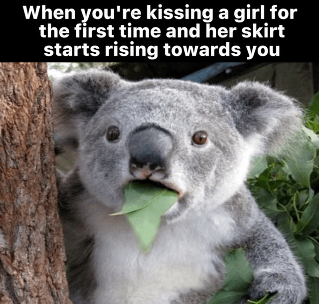 The meme consists of a close-up photograph of a koala bear clinging to a tree trunk, holding and eating a green eucalyptus leaf. The koala has a neutral-to-mildly-surprised expression with wide, attentive eyes. Above the image, a white text caption on a black background reads: 'When you're kissing a girl for the first time and her skirt starts rising towards you'. The humor stems from the relatable awkwardness of the described situation, where the koala's calm yet slightly startled demeanor mirrors the mixed emotions of unexpected moments during a first kiss.