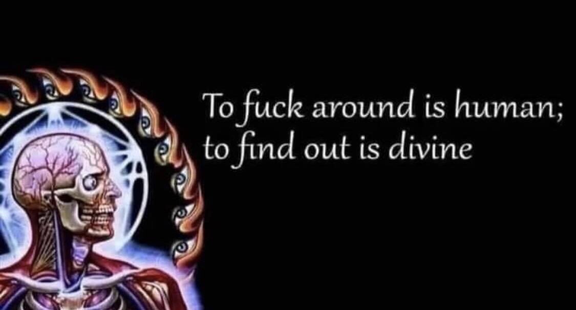The image features a black background, with a surreal, visionary-style anatomical illustration of a human figure in profile on the left. The illustration shows the figure's exposed skull, brain, neck musculature, and upper skeletal structure, surrounded by a glowing blue-white aura and a curved ring of stylized eyes, evoking a sacred or enlightened aesthetic. To the right of the artwork, white serif text reads: "To fuck around is human; to find out is divine". This text is a humorous, vulgar parody of the famous Alexander Pope quote "To err is human, to forgive divine", framing the popular internet slang phrase "fuck around and find out (FAFO)" as an elevated, almost divine experience, playing on the contrast between crude modern slang and the formal poetic structure alongside the spiritually themed artwork for comedic effect.
