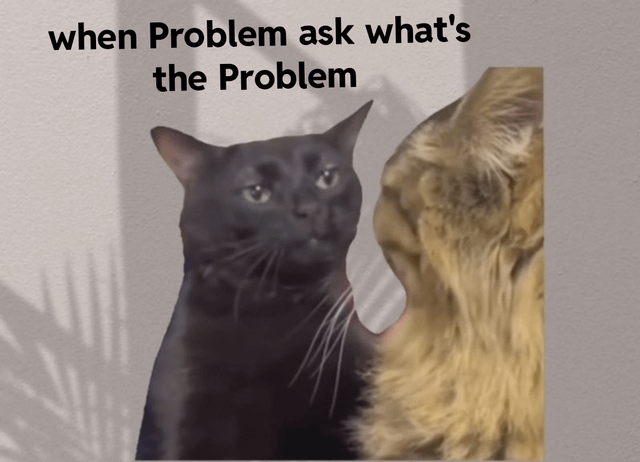 A meme featuring two real cats in a confrontational or conversational stance. The black cat on the left has a confused, questioning expression, while the tan cat on the right faces it, appearing to initiate interaction. Above the cats is bold text: 'when Problem ask what's the Problem'. The background is a plain wall with soft shadow patterns, likely from nearby plants. The humor stems from personifying a 'Problem' as an entity that feigns ignorance by asking about itself, creating a relatable scenario of confusion or gaslighting.
