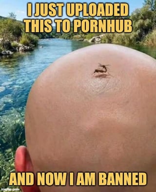 This meme shows the back of a bald person's head facing a scenic river landscape. A natural small crack on the crown of the scalp looks extremely similar to human buttock cleavage. Bold yellow text at the top reads 'I JUST UPLOADED THIS TO PORNHUB', and matching yellow text at the bottom reads 'AND NOW I AM BANNED'. The joke comes from a visual pun: the scalp crack is framed as being mistaken for explicit adult content, leading to a ban from the adult platform Pornhub, playing on the site's content moderation rules for humorous effect.