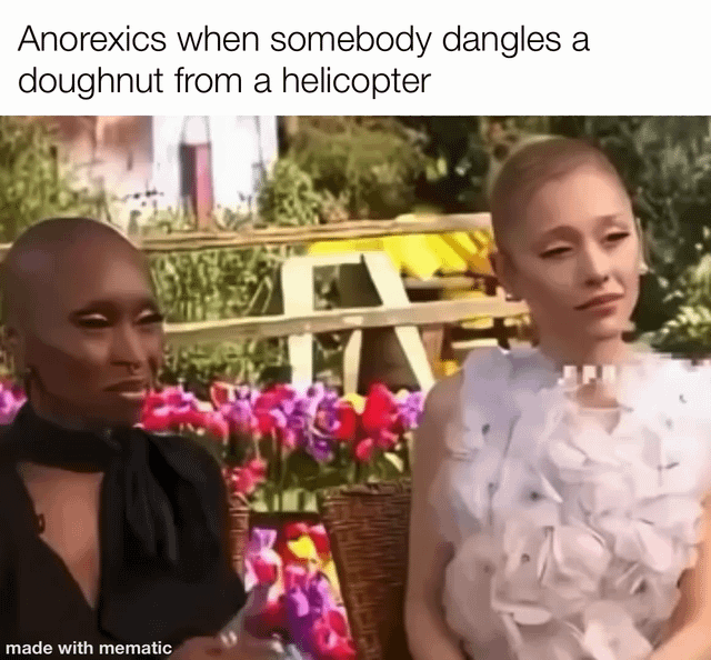 A meme featuring two women sitting outdoors in front of vibrant flowers with the caption 'Anorexics when somebody dangles a doughnut from a helicopter' at the top. The image appears to be a photograph of two real people with neutral expressions, used humorously to suggest a reaction scenario. There is a 'made with mematic' watermark at the bottom-left corner indicating the meme creation tool used.