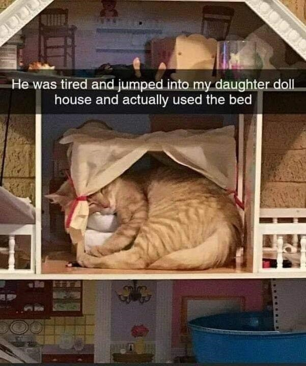 This image features a full-sized orange tabby cat curled up fast asleep on a miniature bed inside the second story of a child's multi-level dollhouse. The cat is partially tucked under a small blanket designed for the doll bed, fitting snugly in the tiny room despite being far larger than the dollhouse is intended for. Text overlaid across the top of the image reads: "He was tired and jumped into my daughter doll house and actually used the bed". The rest of the dollhouse is visible around the cat, including miniature chairs on the top floor and a tiny kitchen setup on the bottom floor. The charm of the image comes from the cat treating the tiny, child-sized furniture as a perfectly valid, comfortable place to rest.