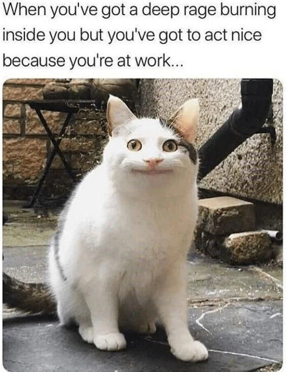 This is a relatable work meme that pairs a photograph of a white cat with a forced, unnatural stiff smile with text describing the common experience of hiding intense anger while maintaining a polite facade at work. The cat has wide, tense eyes and its stretched smile looks unnatural, perfectly visualizing the feeling of suppressing frustration to stay professional in a workplace setting.