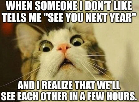 A meme featuring a close-up image of a cat with wide, shocked eyes and a slightly open mouth. The top text reads 'WHEN SOMEONE I DON'T LIKE TELLS ME "SEE YOU NEXT YEAR"' and the bottom text continues 'AND I REALIZE THAT WE'LL SEE EACH OTHER IN A FEW HOURS.' The cat's expression humorously conveys the surprise and mild frustration of realizing the other person's statement was insincere or exaggerated, as they will actually meet again soon.