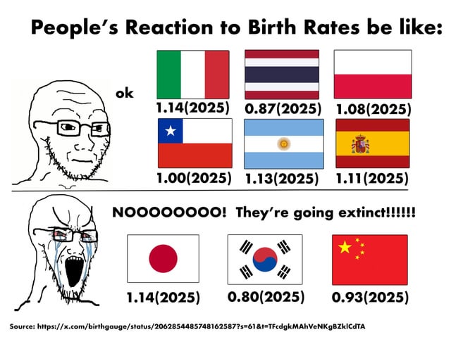 This is a two-panel satirical meme contrasting public reactions to similarly low 2025 national birth rates across different world regions. The top panel features a neutral, unconcerned Wojak character next to the text 'ok', alongside flags of Italy, Thailand, Poland, Chile, Argentina, and Spain, each with listed 2025 birth rates ranging from 0.87 to 1.14. The bottom panel features an extremely distressed, crying, screaming Wojak character yelling 'NOOOOOOOO! They\'re going extinct!!!!!!' next to flags of Japan, South Korea, and China, which have comparable 2025 birth rates ranging from 0.80 to 1.14. The joke highlights the disproportionate, often alarmist public and media focus on low birth rates in East Asian countries, while similarly low birth rates in other regions receive little to no concerned reaction.