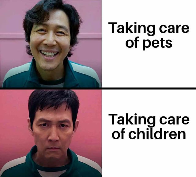 A two-panel meme featuring the same person in both panels against a pink background. The top panel shows the person with a wide, happy smile, accompanied by the text 'Taking care of pets' on the right. The bottom panel shows the same person with a neutral, serious expression, accompanied by the text 'Taking care of children' on the right. The meme humorously contrasts the perceived ease of taking care of pets versus the more demanding nature of taking care of children through the person's differing reactions.