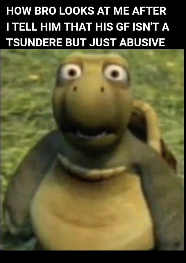 This reaction meme has two sections: bold all-caps white text on a black background at the top, followed by a low-resolution slightly distorted image of Verne the turtle from the 2006 animated film *Over the Hedge*. The text reads "HOW BRO LOOKS AT ME AFTER I TELL HIM THAT HIS GF ISN'T A TSUNDERE BUT JUST ABUSIVE". The turtle has wide bulging eyes and a slightly open mouth, conveying a stunned, disbelieving expression that represents the reaction of a man who just learned his girlfriend's harmful aggressive behavior is not the cute playful anime "tsundere" trope he thought it was, but actual abuse. The meme criticizes people who excuse intimate partner abuse by mislabeling it as a quirky fictional personality trait.