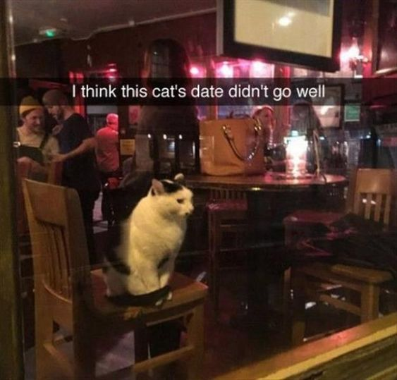 The image captures a black-and-white cat sitting alone on a wooden chair inside a dimly lit, busy bar. The cat has a sad, dejected expression, looking off to the side, which paired with the bar setting (a common location for human dates) creates a humorous anthropomorphic joke. The overlaid text reads: *"I think this cat's date didn't go well"*, framing the cat's lonely posture as if it just experienced a failed romantic date. This meme plays on relatable human relationship experiences by projecting them onto an animal, making the scenario funny and relatable.