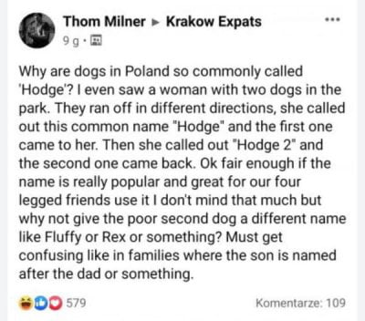 This is a screenshot of a public Facebook post from user Thom Milner shared in the "Krakow Expats" group for expats living in Krakow, Poland. The post is a confused inquiry from the expat poster, who misheard the Polish imperative verb "hodź" (pronounced similarly to "Hodge", meaning "come here") as a common dog name. The poster recounts seeing a woman in a park call out "Hodge" to recall her first runaway dog, then "Hodge 2" to recall the second, and expresses confusion about why "Hodge" is such a popular dog name in Poland and why the second dog does not have a unique name, comparing it to naming a son after his father. The humor derives from the poster's complete lack of awareness that the woman was giving a command to the dogs, not calling them by their names.