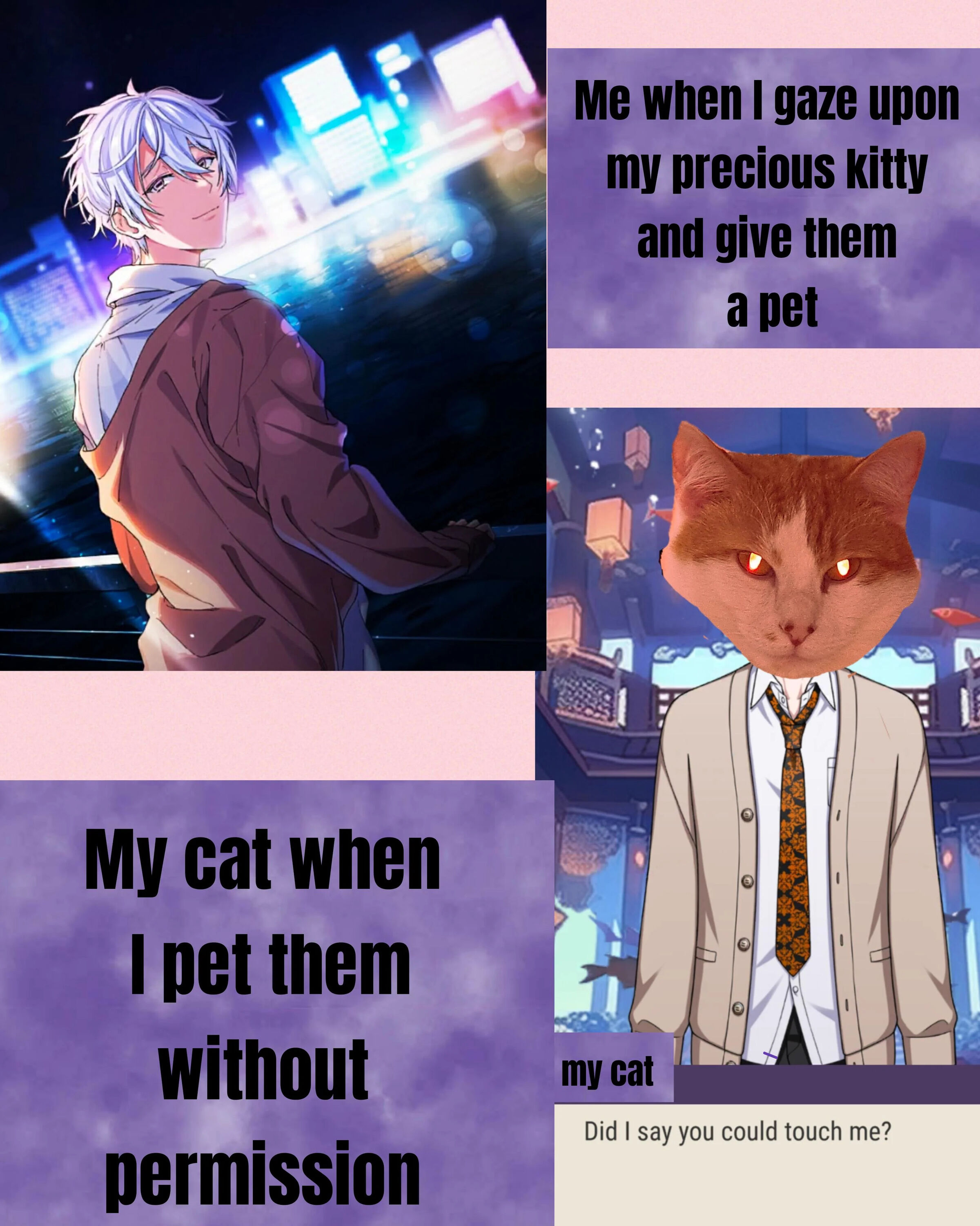 A split-panel meme contrasting the owner's affectionate perspective with the cat's stern reaction. Left panel: An animated male character with white hair, wearing a brown jacket, standing against a city lights background, with text 'Me when I gaze upon my precious kitty and give them a pet'. Right panels: Top has the same text on a purple background; bottom shows a hybrid character with an orange cat's head (red eyes) on a human body in a cardigan and tie, standing against a traditional lantern background, with text 'My cat when I pet them without permission' and 'Did I say you could touch me?'