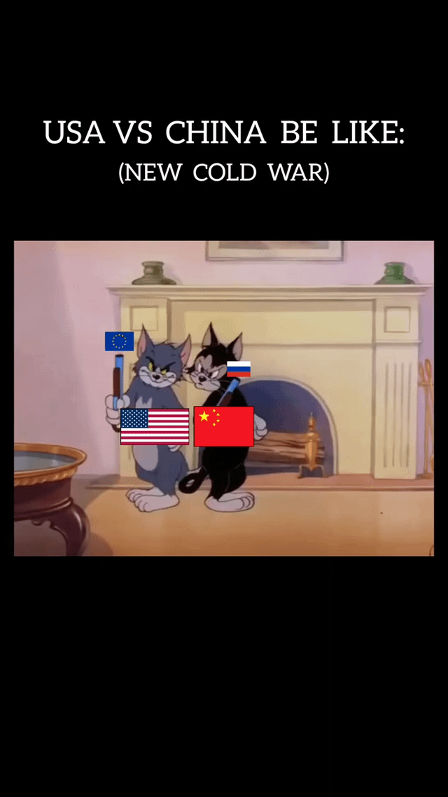 A meme using Tom and Jerry characters to comment on US-China relations. The top text reads "USA VS CHINA BE LIKE: (NEW COLD WAR)". The image shows Tom (gray cat) holding a flag with the EU flag on top of an American flag, and Jerry (black cat) holding a flag with the Russian flag on top of a Chinese flag. They stand together in a room with a fireplace in the background, suggesting an alliance between these power blocs in a new Cold War scenario.