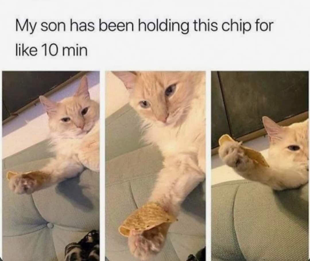 This is a 3-panel collage meme featuring a fluffy cream-colored domestic cat. The top text reads 'My son has been holding this chip for like 10 min'. Each panel captures the cat in a slightly different position on a light gray couch, consistently balancing a tortilla chip on its front paw. The cat maintains a calm, neutral-to-amused expression throughout, with its paw holding the chip in varying angles but never dropping it. The humor and charm come from the cat's unusual, persistent dedication to holding the snack, framed by the owner's affectionate 'my son' wording, creating a wholesome, relatable pet moment that highlights silly, endearing animal behavior.
