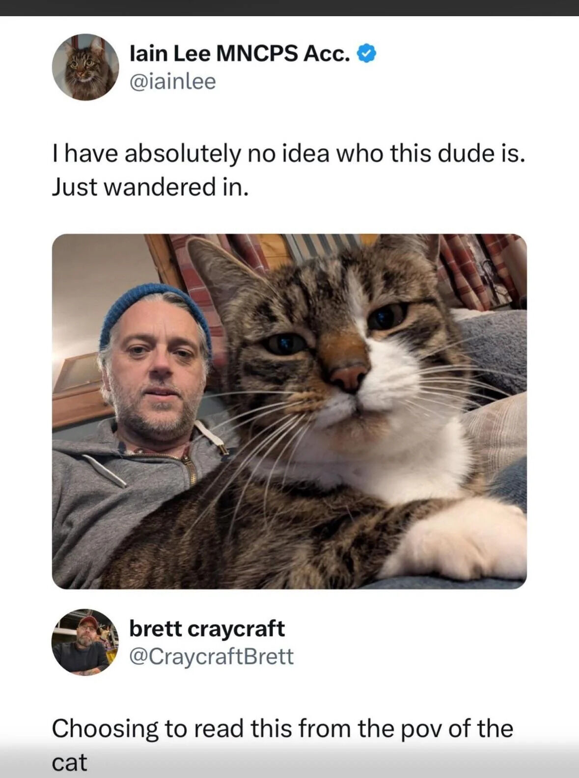 A screenshot of a Twitter/X thread featuring a humorous interaction. The original post by user Iain Lee (@iainlee) includes a photo of a man wearing a blue beanie sitting next to a large tabby cat with white chest and paws. The cat is positioned in the foreground, looking directly at the camera with a calm expression, while the man is partially visible behind it. Iain's text reads: 'I have absolutely no idea who this dude is. Just wandered in.' Below the post, a reply from user brett craycraft (@CraycraftBrett) humorously suggests: 'Choosing to read this from the pov of the cat,' implying the cat is the one confused about the human's presence, creating a playful twist on perspective.