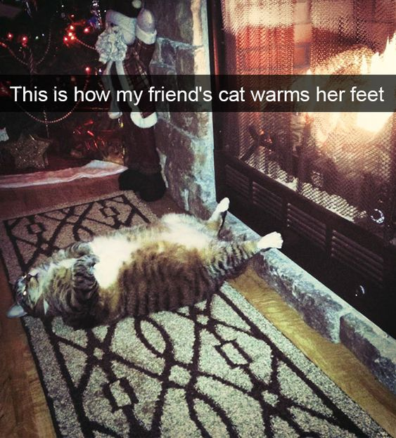 The image captures a cozy, humorous scene set during the Christmas season: a tabby cat lies completely on its back on a patterned rug in front of a lit fireplace, with its belly exposed and paws raised upwards. The on-image caption reads, "This is how my friend's cat warms her feet" — the visual joke here is that the cat is positioned to warm its entire belly (not its feet) by the fire, subverting the expected meaning of the phrase. The background includes festive Christmas decor: a hanging stocking, a small decorated tree with lights, and a star ornament, adding to the warm, holiday atmosphere. The cat appears relaxed and content, enhancing the wholesome, silly vibe of the moment.
