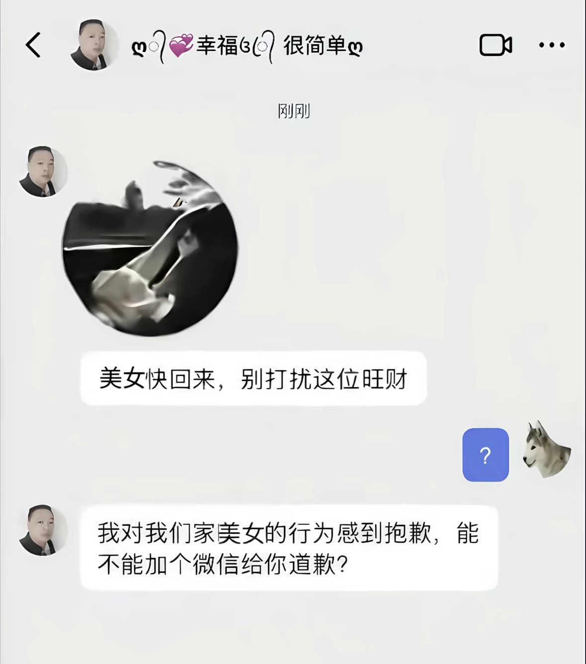 This is a screenshot of a WeChat private chat conversation. A male user first sends a meme of a person being kicked away, accompanied by the message 'Come back quickly, pretty lady, don't disturb this Wangcai'. Wangcai is a common, cutesy name for dogs in Chinese, and the recipient of the messages uses a husky dog as their profile picture, so the male user teasingly refers to the recipient as Wangcai. The confused recipient replies with a question mark, after which the male user sends a follow-up message: 'I apologize for the behavior of my pretty lady, can I add your WeChat to apologize to you?' This is a smooth, humorous pickup line where the male user creates a fake, playful excuse to ask for the recipient's WeChat contact information.