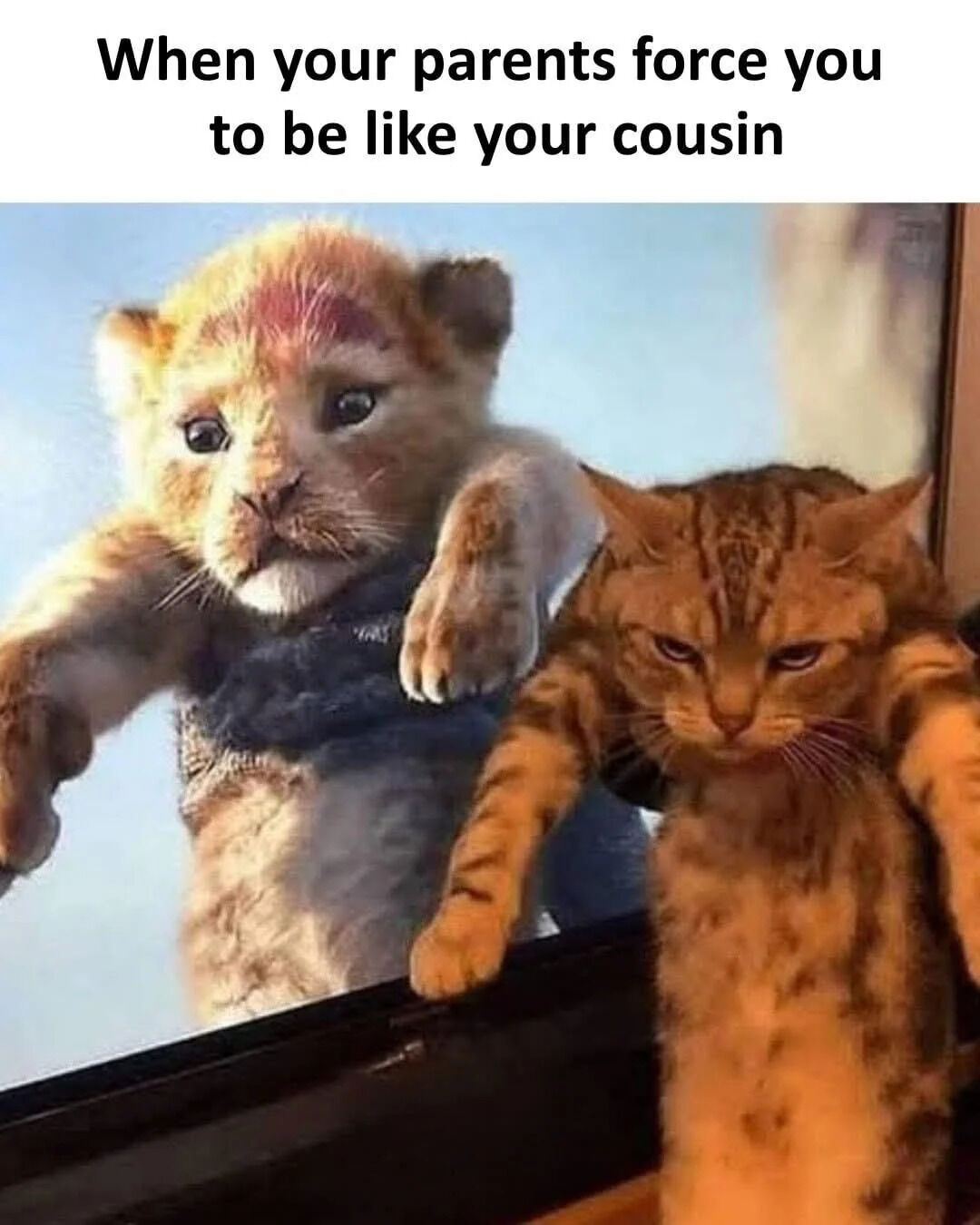 This relatable comedy meme jokes about the common childhood experience of parents comparing their child to a more successful or impressive cousin, demanding you change to be more like them. The visual joke leverages that both lions and domestic cats are felines: a sad baby lion cub (representing the 'perfect cousin' that parents want you to emulate) is held up side-by-side with a grumpy, annoyed orange house cat (representing you, the child being pressured to change). The text at the top of the image states the meme's premise.