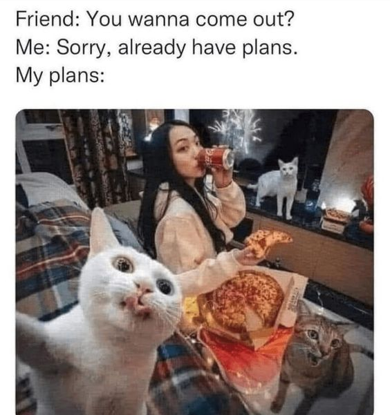This relatable meme leans into the introvert experience of prioritizing cozy, low-key nights in over social outings. The top text establishes a dialogue: a friend asks, "You wanna come out?" and the responder replies, "Sorry, already have plans." The lower portion of the meme reveals these "plans": a person relaxing on a couch, sipping a Coca-Cola, holding a slice of pizza, surrounded by three expressive cats. One white cat leans close to the camera with a silly, wide-eyed expression and its tongue sticking out; another white cat stands on furniture in the background; a tabby cat in the bottom right looks on with a surprised face. The joke hinges on the contrast between the implication of "important plans" and the actual casual, comforting night in, framing staying in with pets and comfort food as a fulfilling, intentional choice rather than a boring alternative. The chaotic, happy energy of the cats amplifies the wholesome, relatable humor of the scene.