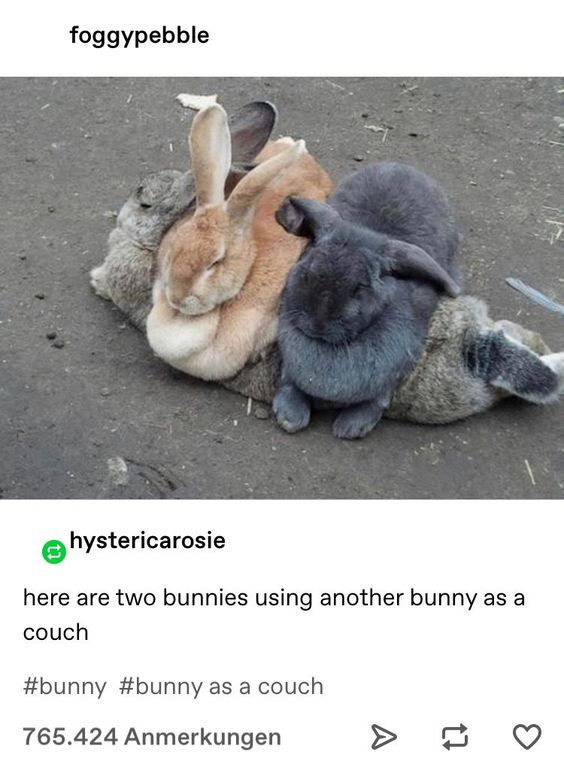 This meme features a photograph of three real rabbits: two bunnies (one light brown, one dark gray) are comfortably resting on top of a third gray bunny that is lying flat on a dirt surface, creating the visual impression that they are using the third bunny as a couch. Below the photo is a social media screenshot overlay with a comment from user 'hystericarosie' that reads: 'here are two bunnies using another bunny as a couch', paired with hashtags #bunny and #bunny as a couch. The post shows it has 765,424 comments (labeled 'Anmerkungen', German for comments, indicating multilingual platform support). The humor comes from the anthropomorphic comparison of the bunny to a piece of furniture, framing the natural animal behavior of piling up as a silly, relatable human-like action, making the content feel wholesome and lighthearted.