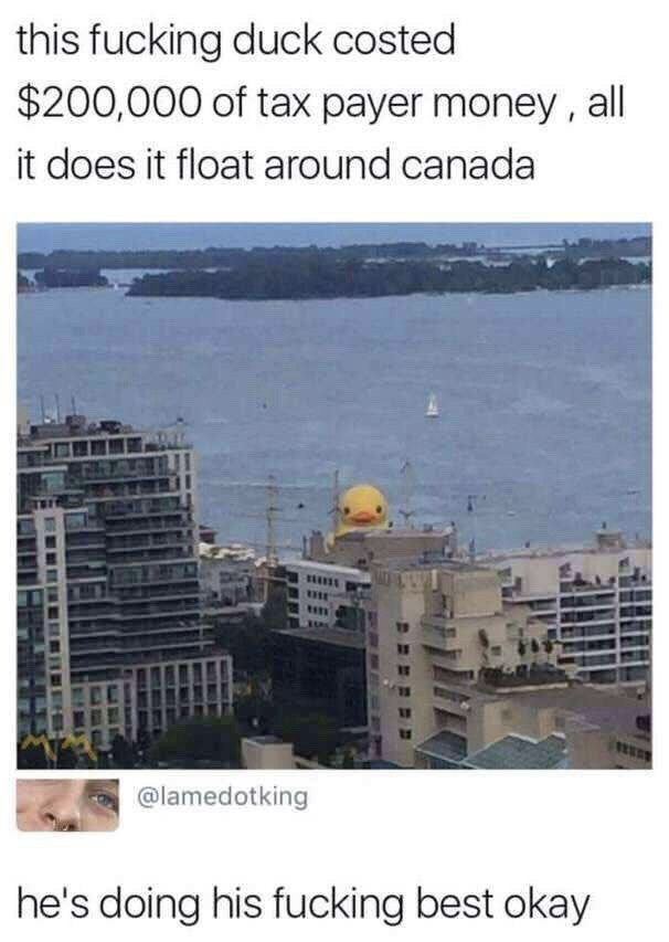 The meme is structured as a social media post. First, top text complains that the giant floating yellow rubber duck cost $200,000 of Canadian taxpayer money and only serves to float around Canada. Below this text is a photograph of the famous giant rubber duck public art installation peeking over city buildings along a Canadian waterfront. Under the photo, a reply from X user @lamedotking reads 'he's doing his fucking best okay', humorously defending the duck against the criticism of its cost. The joke plays on the common debate over public spending on seemingly trivial entertainment or art projects.