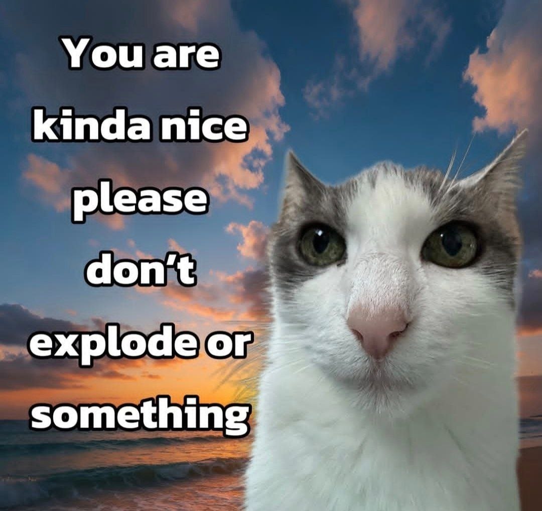 A meme featuring a close-up of a white and gray domestic cat with striking green eyes, positioned on the right side of the frame. The background is a vibrant sunset with pink, orange, and purple clouds scattered across a blue sky, with the ocean visible at the horizon. The cat has a neutral, slightly concerned expression, staring directly at the viewer. Overlaid text on the left side of the image reads: 'You are kinda nice please don't explode or something' in bold, white uppercase letters with a black outline, creating a humorous contrast between the cat's calm demeanor and the absurd plea.