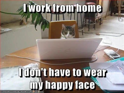 A meme featuring a real cat with an indifferent expression sitting behind a white laptop on a cluttered wooden table. The table has scattered papers, a pen, and a small electronic device. In the background, there is a potted plant and stools. Two lines of text are overlaid: 'I work from home' at the top and 'I don't have to wear my happy face' at the bottom, humorously contrasting the cat's neutral demeanor with the relatable experience of remote work allowing for authenticity. A watermark 'ICANHASCHEEZBURGER.COM' is visible in the bottom left corner.
