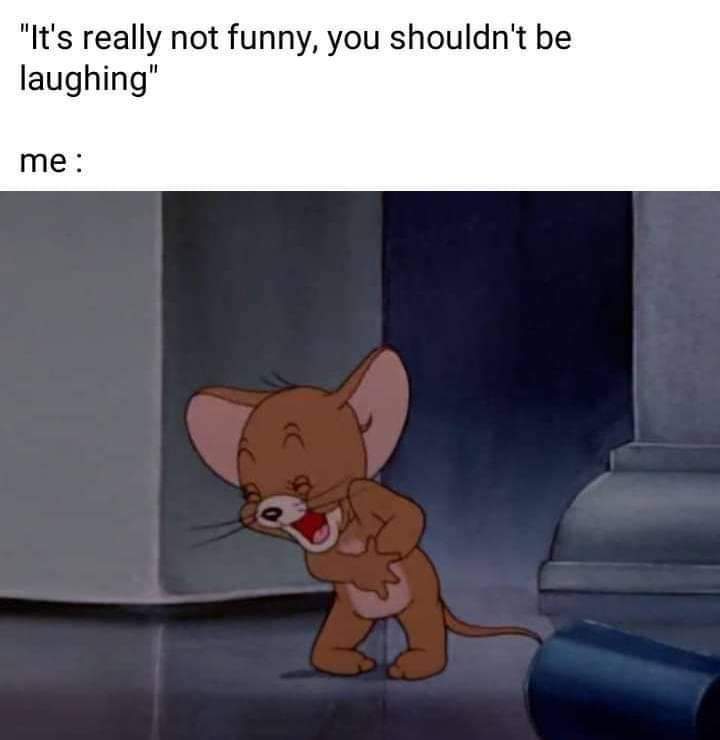 The meme features two sections of text at the top, followed by a cartoon screenshot. The first line of text reads "It's really not funny, you shouldn't be laughing", the second line reads "me :". Below the text is a screenshot of Jerry the mouse from the animated series *Tom and Jerry*, bent over holding his stomach and laughing loudly and uncontrollably. The meme conveys the relatable experience of being unable to suppress laughter even when told that a situation is not supposed to be funny.