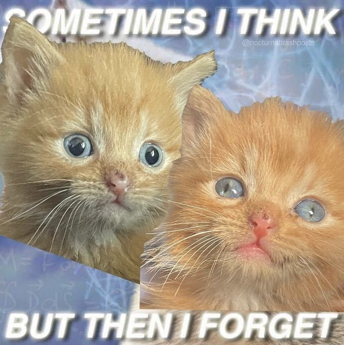 The meme features two cut-out images of wide-eyed ginger kittens with vacant, dazed expressions placed over a soft blue swirly background with faint, blurred math symbols visible on the lower left. Bold white text at the top reads 'SOMETIMES I THINK', and matching text at the bottom reads 'BUT THEN I FORGET'. The joke plays on the kittens' empty, confused looks to humorously illustrate the common relatable experience of having a thought slip your mind immediately after you form it, effectively conveying feelings of brain fog and general forgetfulness in a lighthearted, cute way.