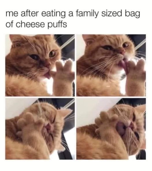 This is a four-panel relatable meme that uses photos of a real orange tabby cat to joke about the experience of overeating an entire family-sized bag of cheese puffs. In the sequence, the cat starts licking its paw to clean off cheese dust residue, then progressively moves the paw up its face as it continues cleaning, ending with the cat fully pressing its paw over its own face. The joke captures the messy, uncomfortable feeling of having cheese dust all over your face after eating too many cheesy junk food snacks.