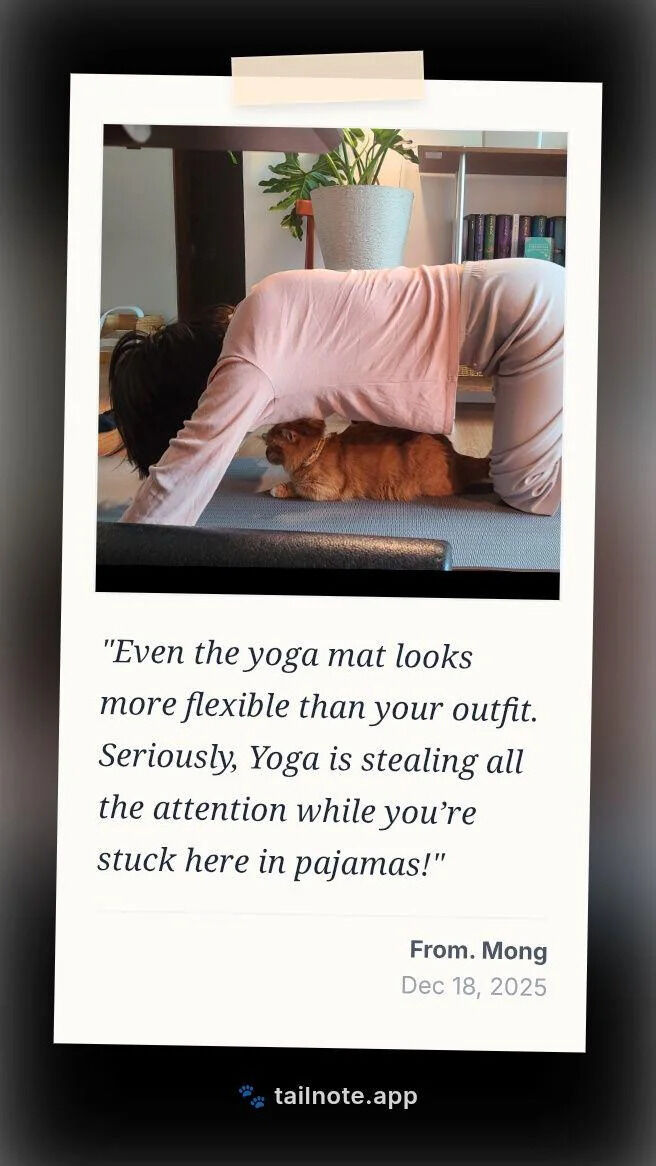 The image features a person wearing pink pajamas performing a yoga bridge pose on a blue yoga mat, with a brown cat lying relaxed underneath their torso. Below the photograph is a humorous caption attributed to 'Mong' dated December 18, 2025, which playfully complains: 'Even the yoga mat looks more flexible than your outfit. Seriously, Yoga is stealing all the attention while you're stuck here in pajamas!' The scene combines elements of daily life, pet interaction, and lighthearted humor about comparing yoga flexibility to loungewear.