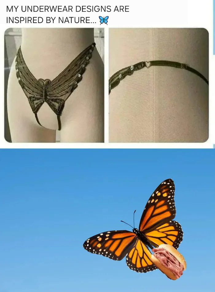 A meme featuring nature-inspired underwear designs. The top text reads 'MY UNDERWEAR DESIGNS ARE INSPIRED BY NATURE...🦋'. Below are two images of underwear on mannequins: the left is a butterfly-shaped thong with wing-like details, and the right is a thin, greenish g-string. The bottom section shows a monarch butterfly with a hot dog edited into its wings, creating a humorous twist by implying the second underwear design is inspired by the butterfly holding a hot dog, subverting the initial 'nature inspiration' claim.