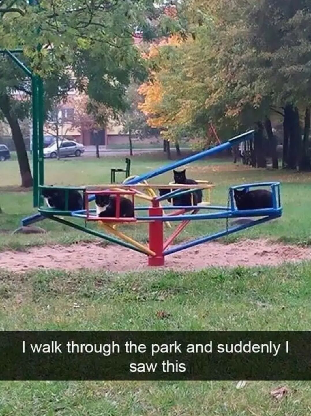 This is a candid real photograph taken in a public park. In the foreground, a small colorful metal children's merry-go-round (roundabout ride) installed on a sandpit is occupied by four black cats, one of which has a white patch on its chest, each sitting calmly in one of the separate passenger seats of the ride as if they are waiting for it to start moving. The background features green grass, trees with partial autumn yellow foliage, parked cars, and residential buildings in the distance. White text over a dark banner at the bottom of the image reads 'I walk through the park and suddenly I saw this', framing the unexpected, charming sight.