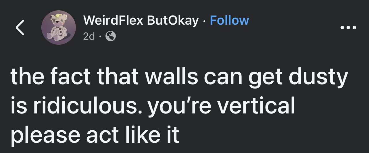 This is a screenshot of a public text post from the X (formerly Twitter) social media platform, published by user 'WeirdFlex ButOkay' 2 days before the screenshot was captured. The post uses sarcastic, personifying humor to complain about the annoyance of dust accumulating on vertical walls, jokingly telling walls to behave like the vertical objects they are and not collect dust. Standard X platform UI elements are visible at the top, including the user's cartoon teddy bear profile picture, a Follow button, back navigation arrow, and more options menu icon, set against the platform's default dark mode background.