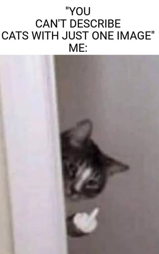 A meme consisting of two sections: the top section contains bold black text reading 'YOU CAN'T DESCRIBE CATS WITH JUST ONE IMAGE' followed by 'ME:', and the bottom section is a photograph of a cat with black and white fur peeking from behind a white door or wall. The cat's head is partially visible, and it appears to be raising one paw as if pointing or gesturing. The humor lies in the contrast between the initial claim that cats can't be described with one image and the subsequent photo, which humorously suggests that this single image (showing a curious, playful cat) effectively captures a typical cat behavior.
