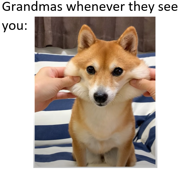 This is a relatable wholesome meme that jokes about the common behavior of grandmas loving to squeeze and pinch your cheeks when they see you after time apart. The top text reads 'Grandmas whenever they see you:', followed by an image of a Shiba Inu whose cheeks are being squished outward by two hands, perfectly illustrating how grandmas smother grandchildren with affectionate cheek-pinching when they meet.