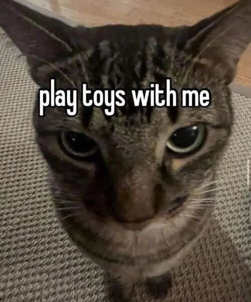 A close-up photograph of a tabby cat with striking green eyes and distinct striped fur patterns. The cat is positioned low to the ground, looking upward directly at the camera with a wide-eyed, earnest expression that conveys a sense of pleading. Overlaid on the image in bold, white text centered near the cat's forehead is the phrase 'play toys with me'. The background consists of a textured, light-colored carpet and a wooden floor visible in the upper corners, suggesting an indoor home setting.