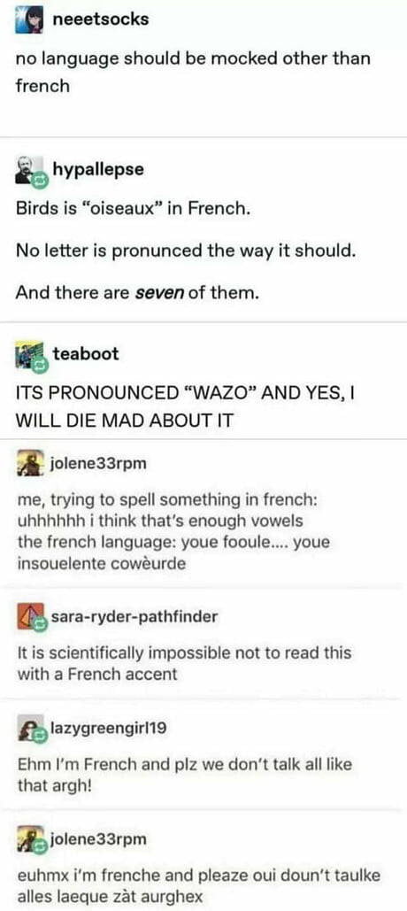 A 9Gag post featuring a thread of humorous user comments mocking the French language. The comments highlight perceived quirks such as the pronunciation of 'oiseaux' (described as having seven letters with none pronounced correctly), frustration over it being called 'wazo', jokes about excessive vowels in French spelling, and a sarcastic exchange where a French user objects to stereotypes, followed by an exaggerated imitation of a French accent. The thread uses sarcasm and exaggeration to comically critique French language peculiarities.