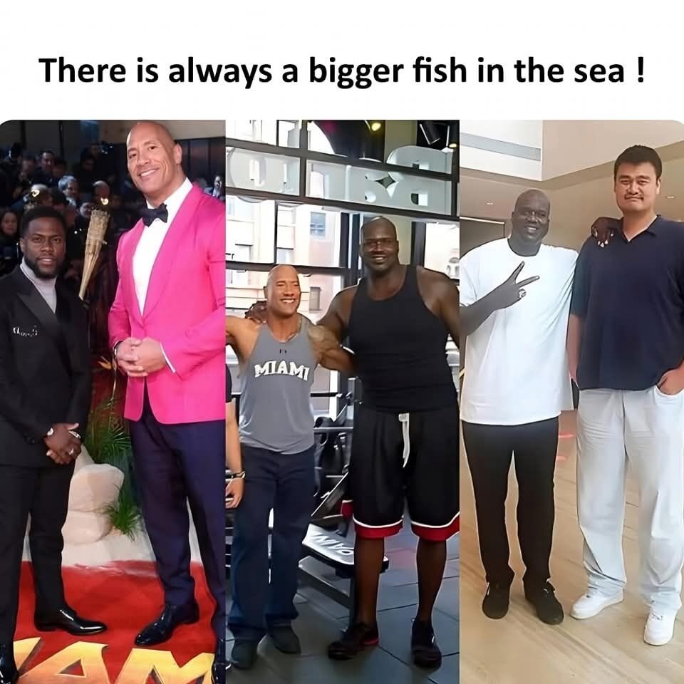 This meme is a three-panel side-by-side collage. The first panel shows short actor and comedian Kevin Hart standing next to famously large actor and former wrestler Dwayne "The Rock" Johnson, who towers over Hart. The second panel shows Dwayne Johnson standing next to retired 7ft 1in NBA star Shaquille O'Neal, who is noticeably taller and larger than Johnson. The third panel shows Shaquille O'Neal standing next to retired 7ft 6in Chinese NBA star Yao Ming, who towers over O'Neal. The text at the top of the meme reads "There is always a bigger fish in the sea!", a common idiom meaning no matter how impressive or powerful a person seems, there is always someone who outmatches them, humorously visualized here using the increasing height of the celebrity pairs.