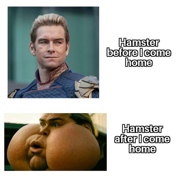 This is a two-panel comparison meme using the character Homelander from the TV series *The Boys*. The top panel shows a normal, calm, smug-looking Homelander paired with the text 'Hamster before I come home', referencing how hamsters appear unassuming and calm when their owner is away. The bottom panel shows an edited version of Homelander with extremely exaggerated, puffed-up, stuffed cheeks, paired with the text 'Hamster after I come home'. The joke plays on the common behavior of pet hamsters immediately stuffing their cheeks full of food as soon as their owner arrives home, as if they were left starving the entire time the owner was gone, which aligns with the original meme title 'Bro was starving'.