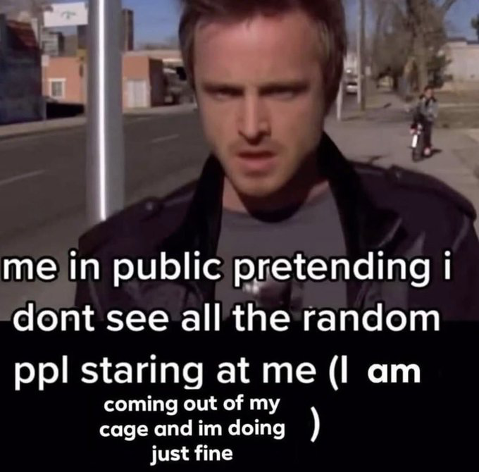 This meme uses a screenshot of Jesse Pinkman from the show Breaking Bad, where he has a strained, uncomfortable expression while standing on a public street. The overlaid text jokes about pretending not to notice random people staring at you when you are in public, with a parenthetical referencing lyrics from The Killers' song 'Mr. Brightside' that reveal the person is actually internally struggling and overstimulated while trying to appear calm on the outside. The humor comes from the relatable contrast between outward composure and internal chaos in public social situations.