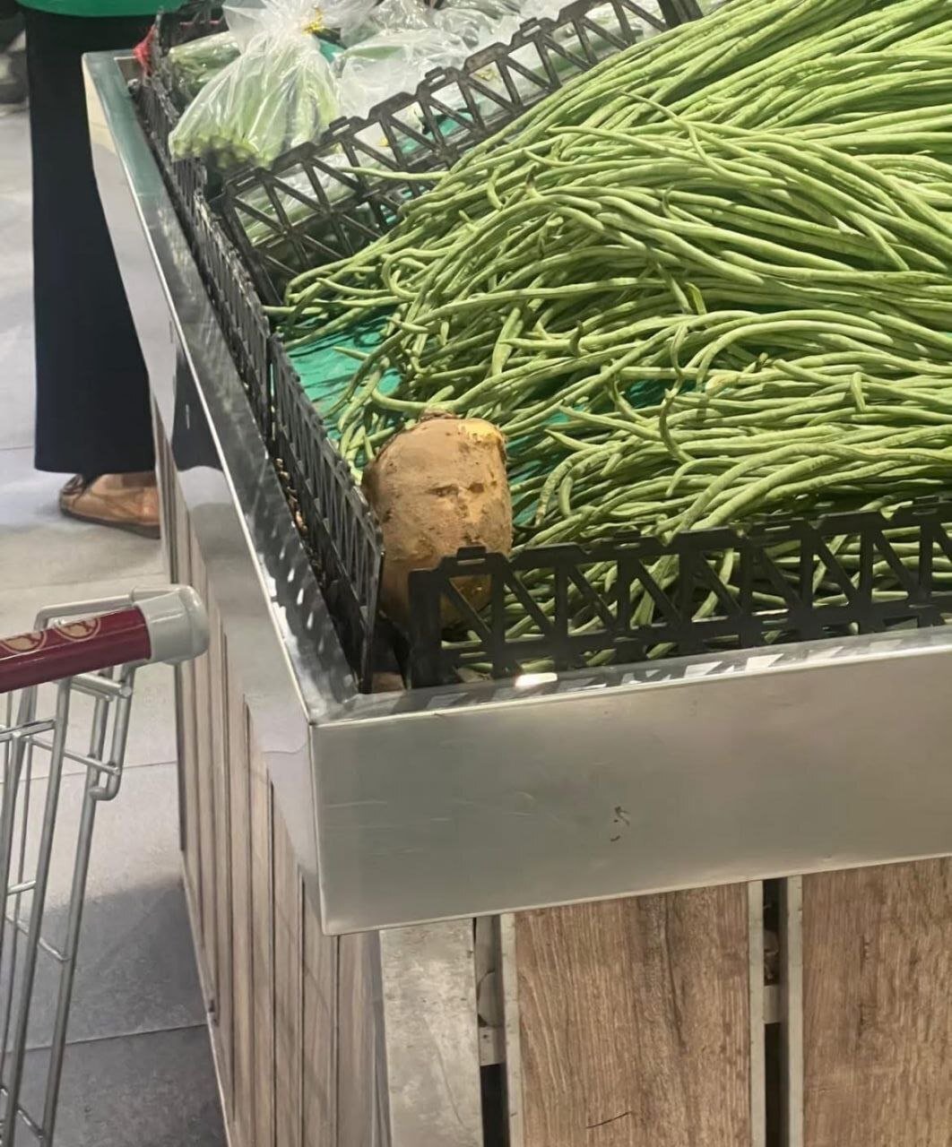 This image captures a humorous, everyday scene in a grocery store produce section: a single brown potato is nestled in the edge of a bin overflowing with long green beans, separated by a black plastic divider. A red-and-white shopping cart handle is visible in the foreground, and the lower legs and shoes of a shopper can be seen standing nearby in the background. The potato is clearly out of place, creating a silly, relatable 'odd one out' visual joke, as if it was misplaced by a shopper or ended up in the wrong bin by accident.