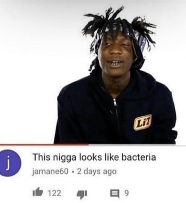 A meme featuring a screenshot of a person with dreadlocks wearing a black hoodie adorned with a 'Lit' patch. Below the image, there is a Reddit comment from user 'jamane60' posted 2 days ago that reads 'This nigga looks like bacteria,' which has 122 likes and 9 replies. The humor stems from the playful comparison of the person's appearance to bacteria, framed as a casual, offhand comment.